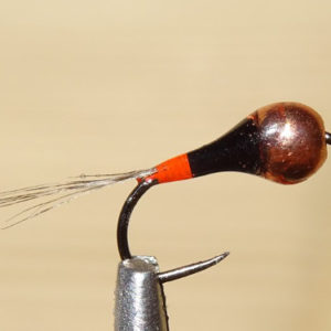 Pêche à la mouche