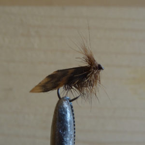 Guide pêche mouche Pyrénées