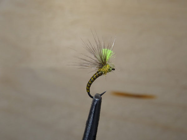 mouche olive peche