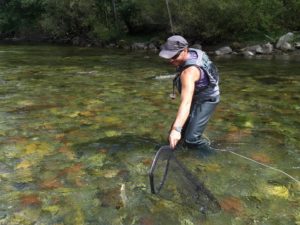 Séjours pêche mouche Espagne Catalogne