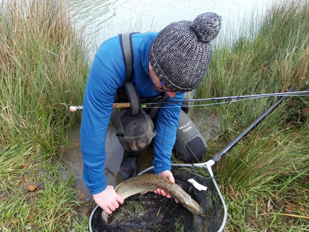 Apprendre la pêche du Brochet à la mouche